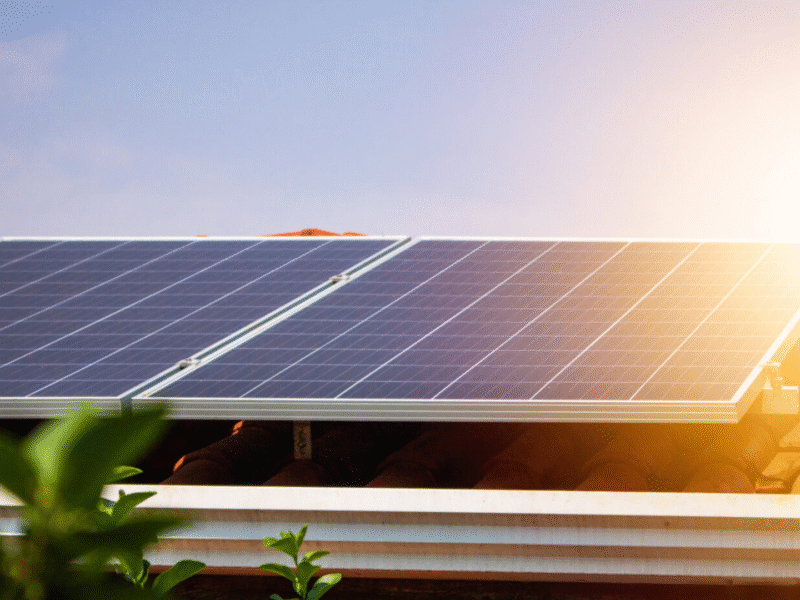 Best solar power company team on a rooftop