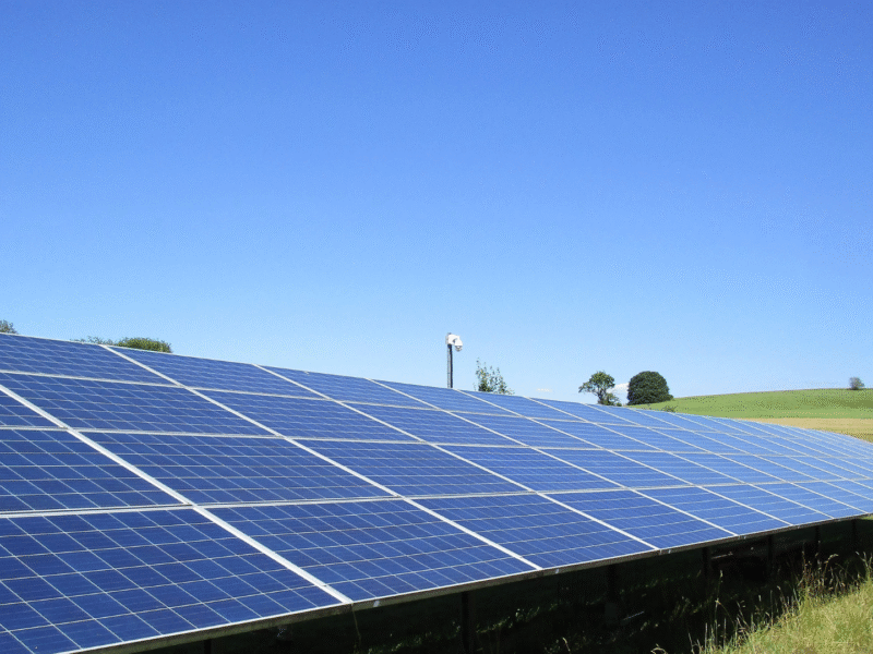 A comparison of cheap solar companies and the best solar companies