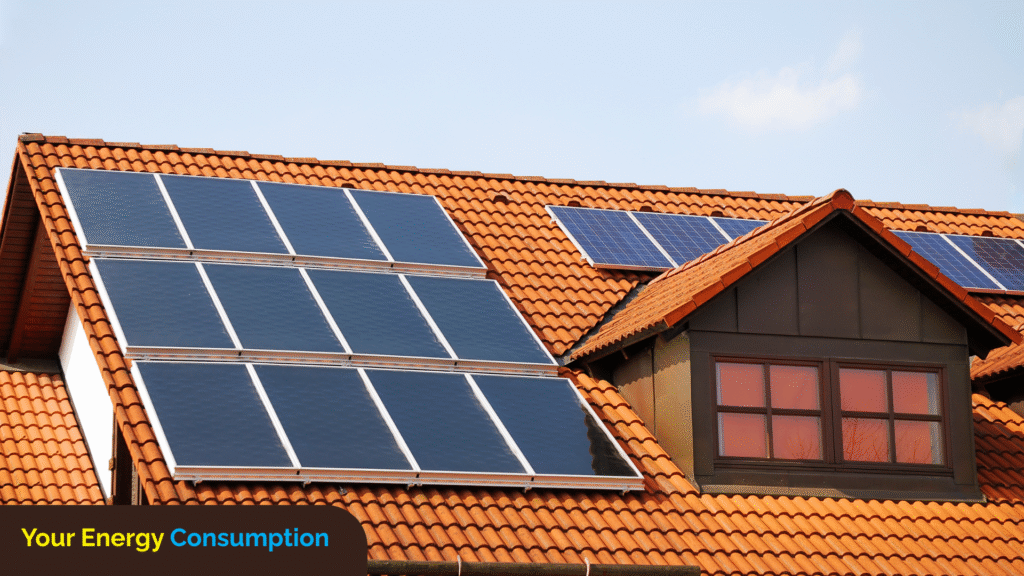 Energy use for rooftop solar in Jaipur